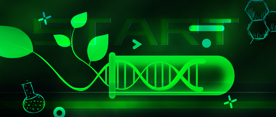 粮食危机的终结：植物基因编辑的无限可能性