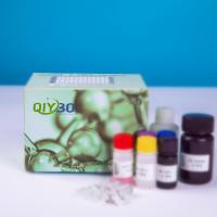 猪胱天蛋白酶9(Caspase-9)ELISA测试盒