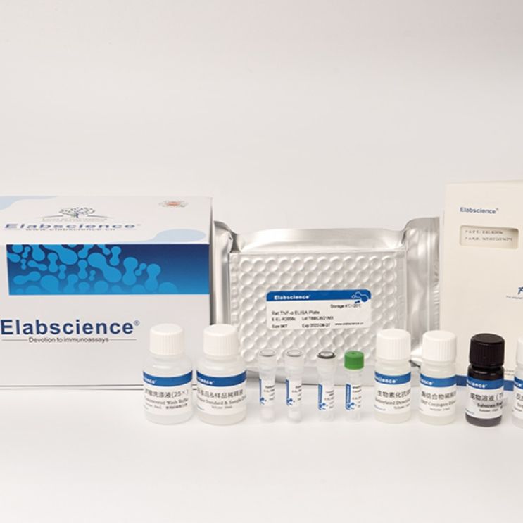 人白介素1α(IL-1α)酶联免疫吸附测定试剂盒