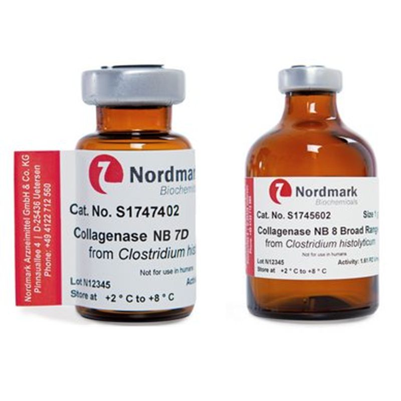 胶原酶(Nord'mark)Collagenase用于敏感细胞的温和解离方案