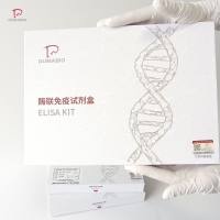 人糖皮质激素(GC)ELISA检测试剂盒