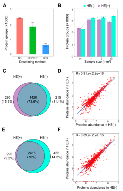 华大新成果，基于全扫空间蛋白质组首次创建小鼠脑空间蛋白质组图谱