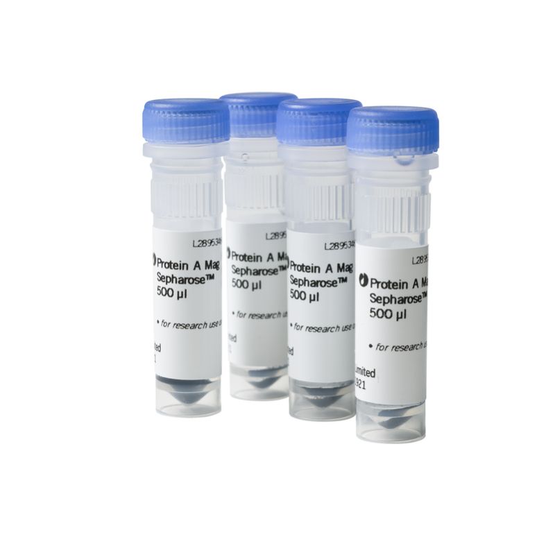 Cytiva  28967056  抗体小规模纯化、克隆筛选  Protein A Mag Sepharose™Xtra