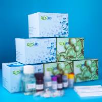 猪组氨酸丰富糖蛋白(HRG)ELISA测试盒