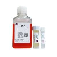 肿瘤干细胞成球培养基-无血清 试用