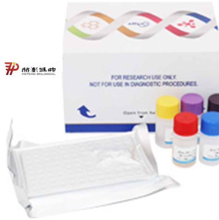 大鼠1,4,5-三磷酸肌醇(IP3)ELISA试剂盒