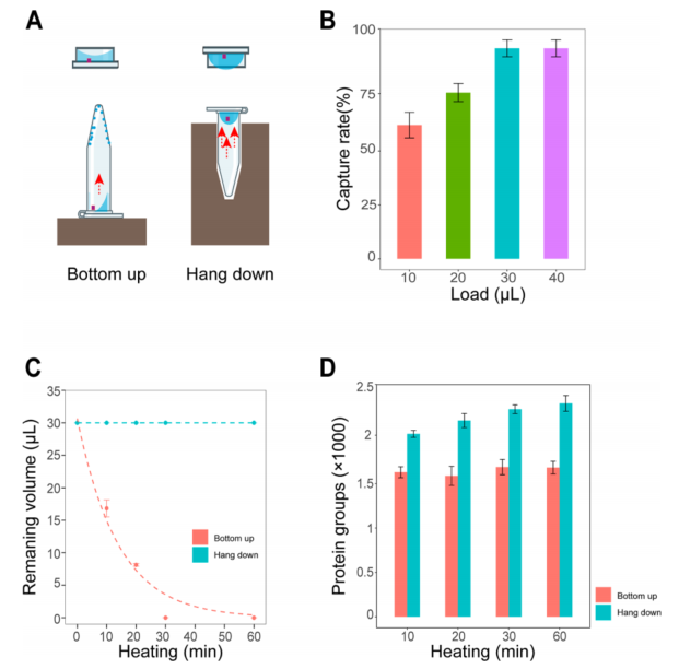 华大新成果，基于全扫空间蛋白质组首次创建小鼠脑空间蛋白质组图谱