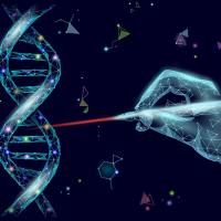 KO细胞株/基因敲除细胞株