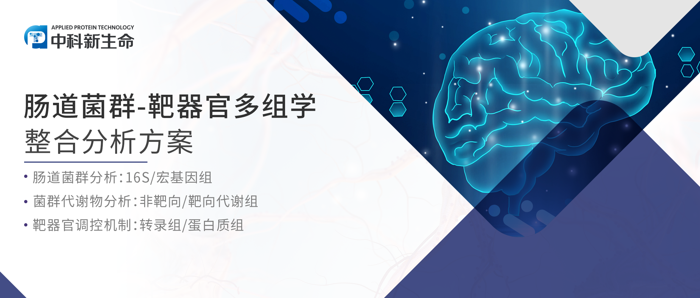 项目文章Gut Microbes（IF 12.2）| 瑞金医院利用多组学揭示肠道微生物群通过肠-脑轴影响阿尔茨海默病的分子机制