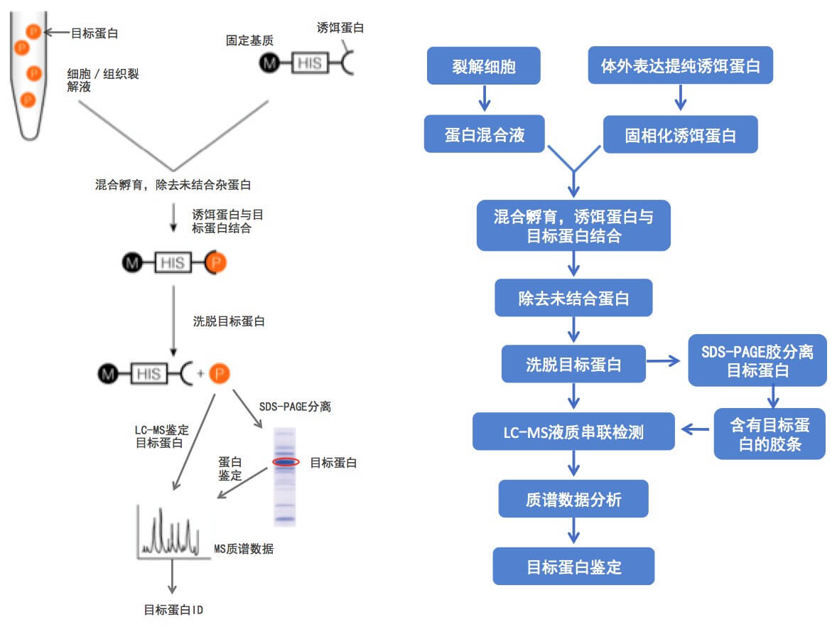 技术资料图片1