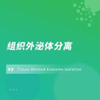 组织外泌体分离