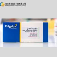 体外DNA转染试剂