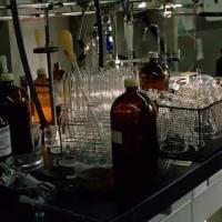 Fire™ 750 抗人 CD45 流式标记APC 抗体