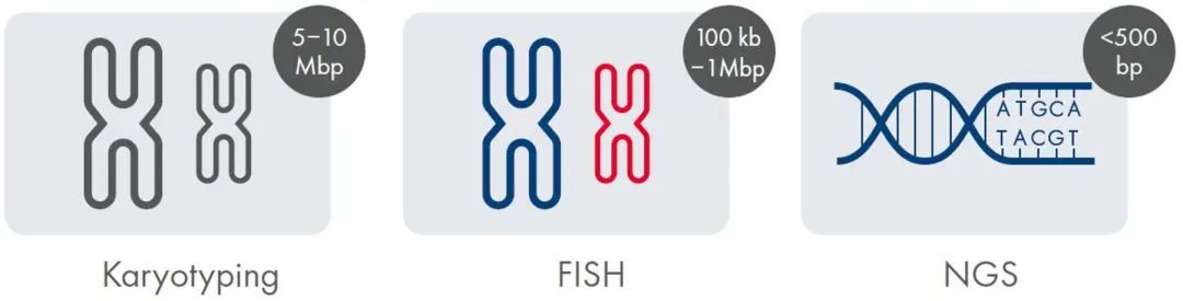 【白皮书下载】如何更早发现细胞系开发中的基因组盲点