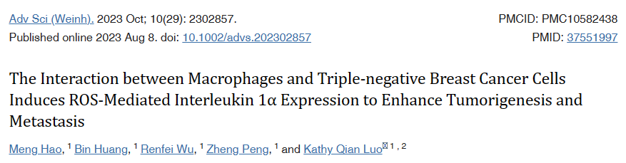 科研赋能丨云舟生物助力澳门大学发现减少三阴性乳腺癌转移的新策略