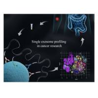 单囊泡膜蛋白组学