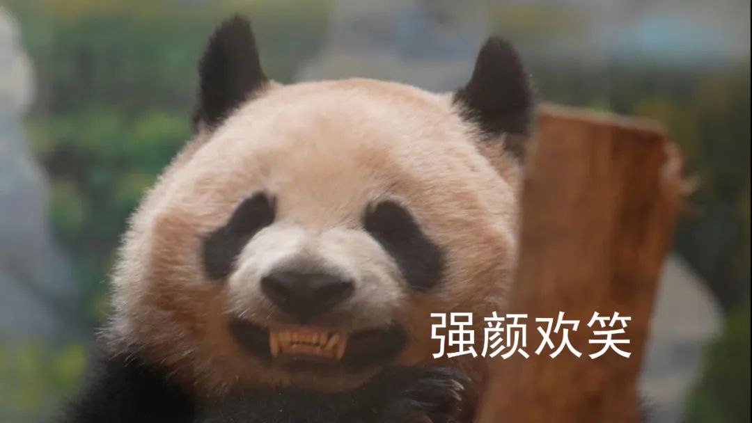 核酸提取样本保存指南