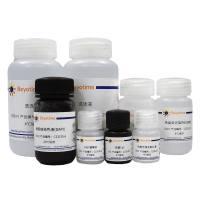 Ki67细胞增殖检测试剂盒(免疫荧光法, 红色, 鼠单抗)