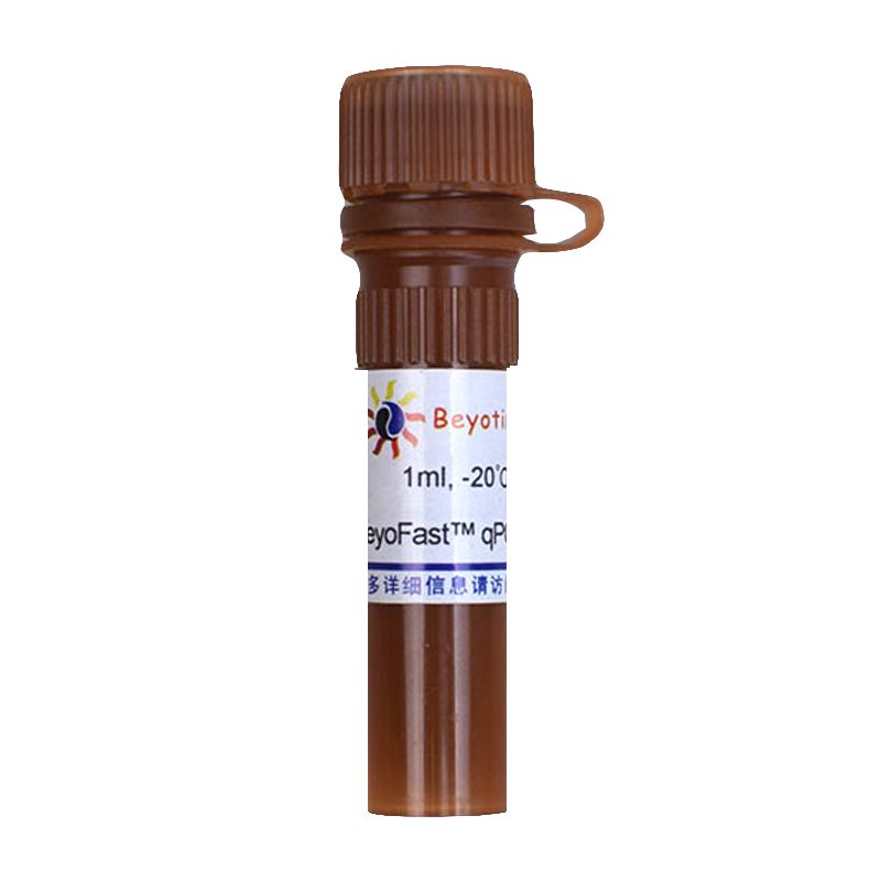 BeyoFast™ SYBR Green qPCR Mix (2X)