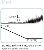 Nanion耐尼恩VPP囊泡制备仪