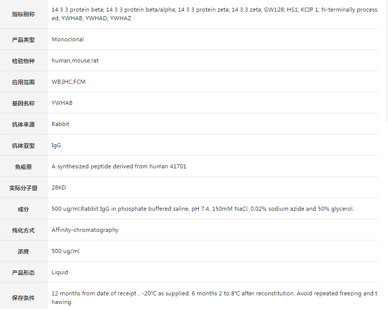 Anti-14-3-3 Antibody
