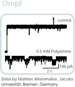 Nanion耐尼恩VPP囊泡制备仪