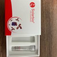 Anti-APOBEC3F Polyclonal Antibody