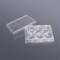 BS-C6112 6孔细胞培养板,平底,TC处理,灭菌