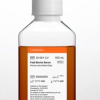 Corning 康宁 35-081-CV 新西兰胎牛血清FBS 500ml