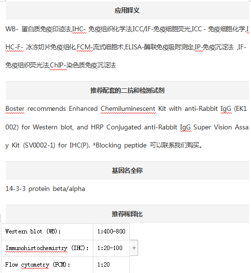 Anti-14-3-3 Antibody