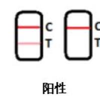 黄曲-霉毒素B1快速检测卡