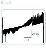 Nanion耐尼恩VPP囊泡制备仪
