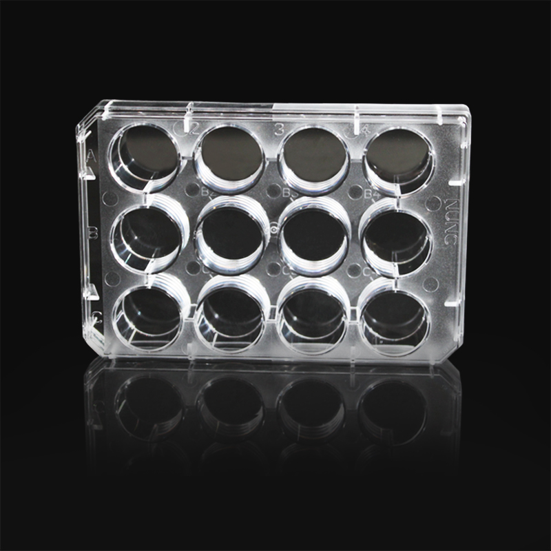 BS-C6113 12孔细胞培养板,平底,TC处理,灭菌