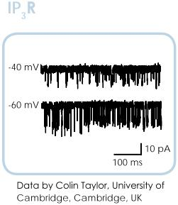 Nanion耐尼恩VPP囊泡制备仪