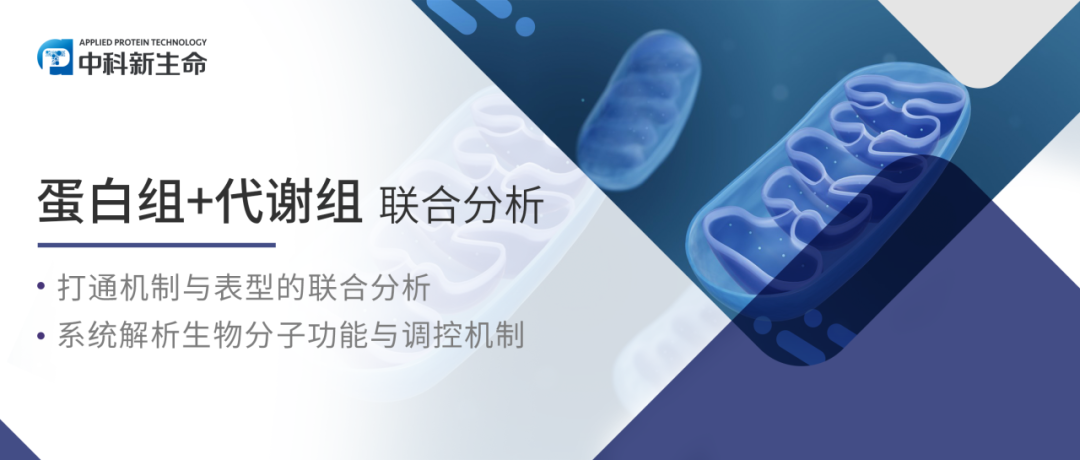 项目文章Adv Sci（IF 15.1）| 复旦大学利用多组学助力解密IFI27调节线粒体代谢和适应性产热新机制