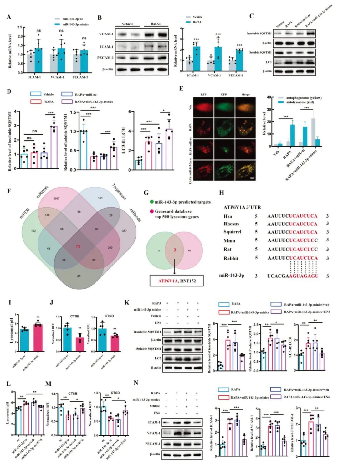 miRNA研究进展盘点丨20231206期