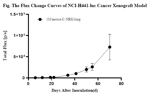 CDX人源肿瘤细胞系异体移植小鼠