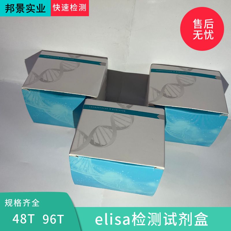 大鼠甘丙肽/甘丙素(GAL)ELISA试剂盒