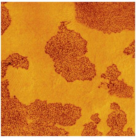 产品细节图片11