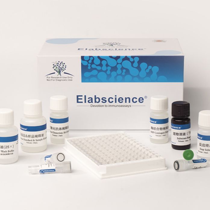 人高敏白介素17A(IL-17A)Elisa测定试剂盒
