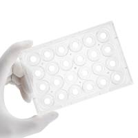 动态共培养类器官芯片IBAC O1