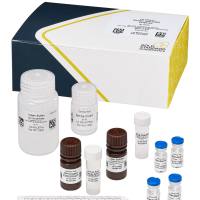失忆性贝类毒素(ASP)检测试剂盒