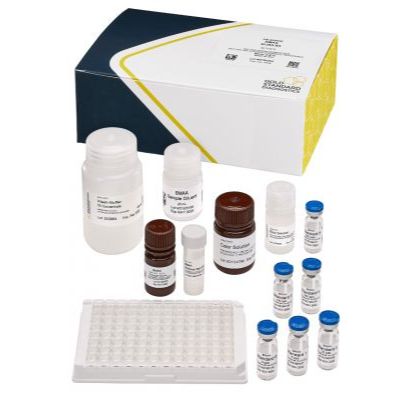 β-N-甲氨基-L-丙氨酸（BMAA）检测试剂盒