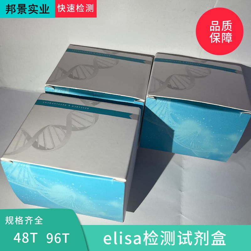 兔白介素7(IL7)ELISA试剂盒