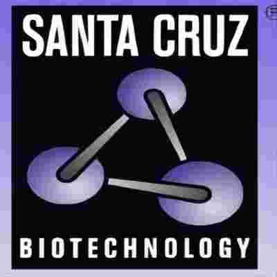 Santa Cruz Biotechnology