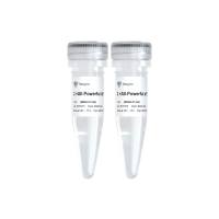 BioSmart U+ All-Powerful Multiple Probe qPCR PreMix (ONE TUBE)