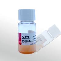 CellWorld N2无血清添加剂 C2260-514 5ml