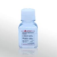 CellWorld 双抗100X  C0160-611 100ml