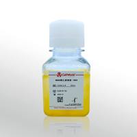 CellWorld MEM维生素溶液 100X  C0560-419