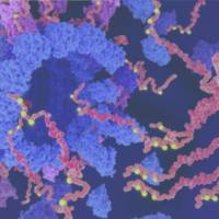 4D-磷酸化修饰蛋白质组学